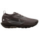 Nike Pegasus Trail 5 Gore-Tex